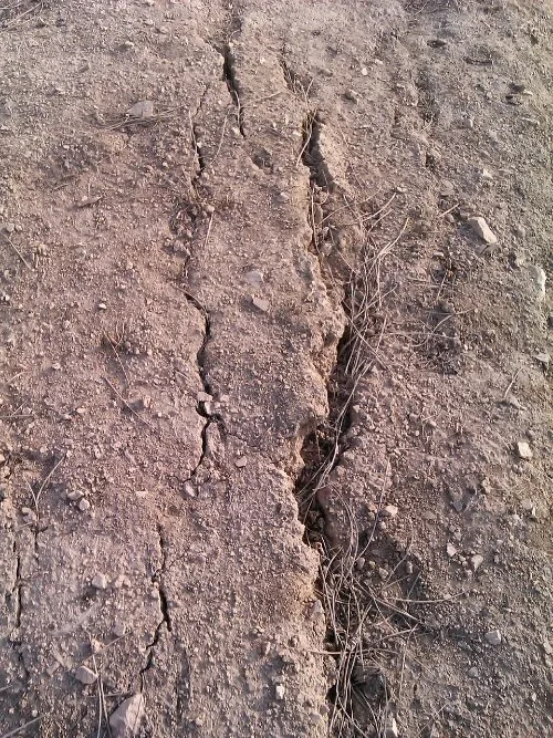 Cracked earth from the drought